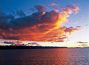 《街头霸王6》角色情报 嘉米和南美少女莉莉好猛